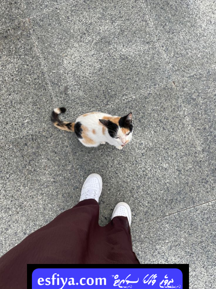 Nina🤍
