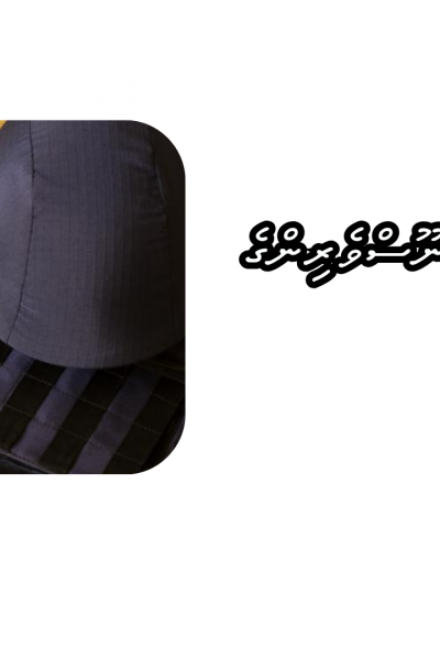 ޖަމާޢަތުގެ ތެރޭގައި ނޫސްވެރިންގެ ދައުރު
